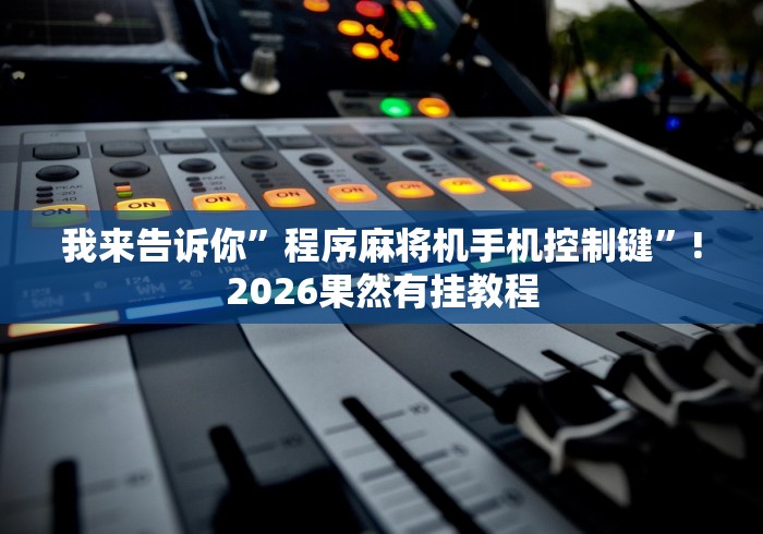 我来告诉你”程序麻将机手机控制键”!2026果然有挂教程