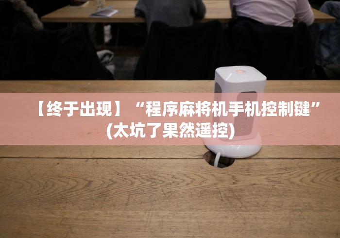 【终于出现】“程序麻将机手机控制键”(太坑了果然遥控)