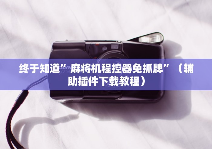 终于知道”麻将机程控器免抓牌”(辅助插件下载教程) 终于知道”麻将机程控器免抓牌”(辅助插件下载教程)