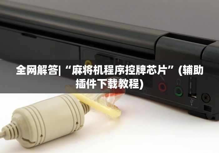 全网解答|“麻将机程序控牌芯片”(辅助插件下载教程)