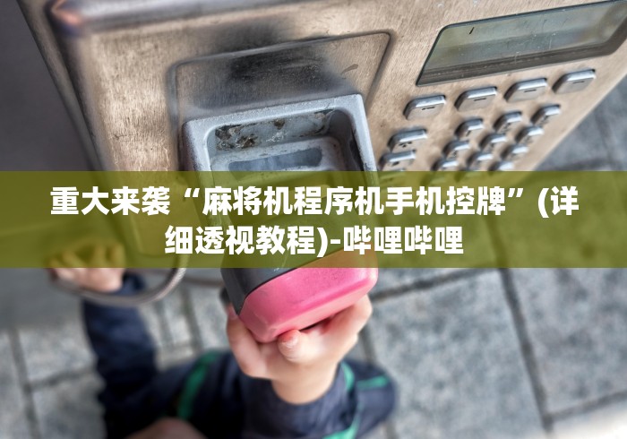 重大来袭“麻将机程序机手机控牌”(详细透视教程)-哔哩哔哩
