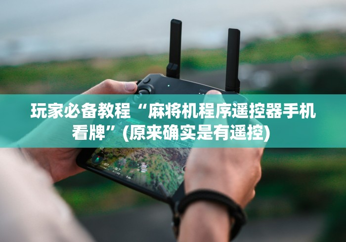 玩家必备教程“麻将机程序遥控器手机看牌”(原来确实是有遥控) 