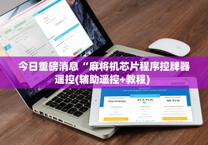 今日重磅消息“麻将机芯片程序控牌器遥控(辅助遥控+教程) 