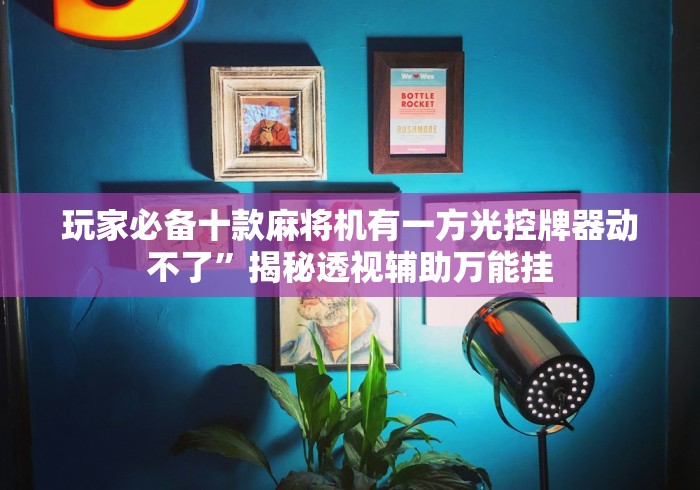 玩家必备十款麻将机有一方光控牌器动不了”揭秘透视辅助万能挂