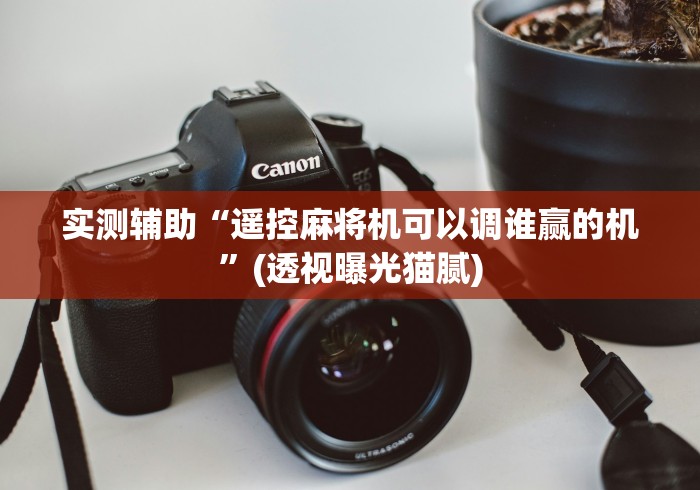 实测辅助“遥控麻将机可以调谁赢的机”(透视曝光猫腻)