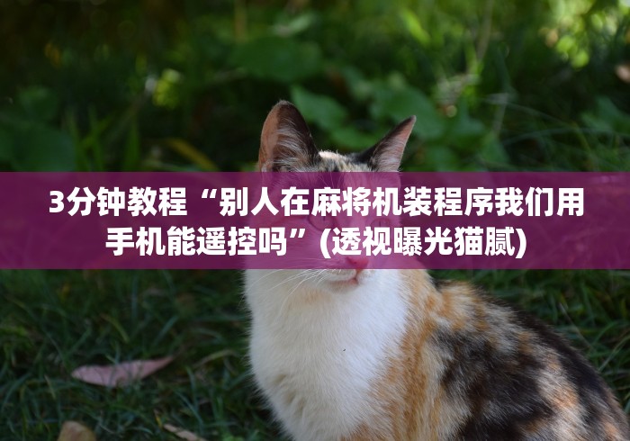 3分钟教程“别人在麻将机装程序我们用手机能遥控吗”(透视曝光猫腻) 3分钟教程“别人在麻将机装程序我们用手机能遥控吗”(透视曝光猫腻)