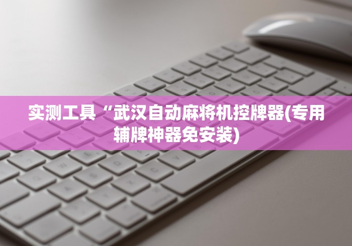 实测工具“武汉自动麻将机控牌器(专用辅牌神器免安装)