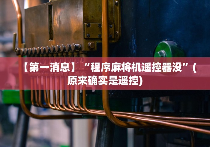 【第一消息】“程序麻将机遥控器没”(原来确实是遥控)