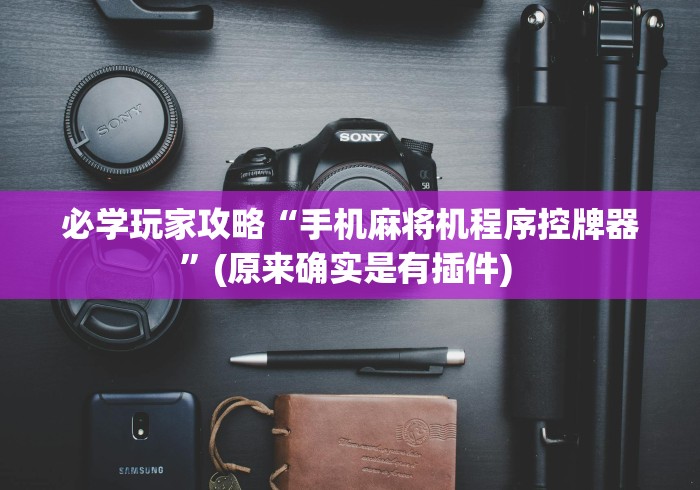 必学玩家攻略“手机麻将机程序控牌器”(原来确实是有插件) 