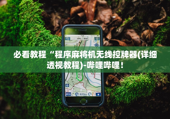 今日重磅消息“麻将机遥控器100%成功(家用免安装控牌神器)